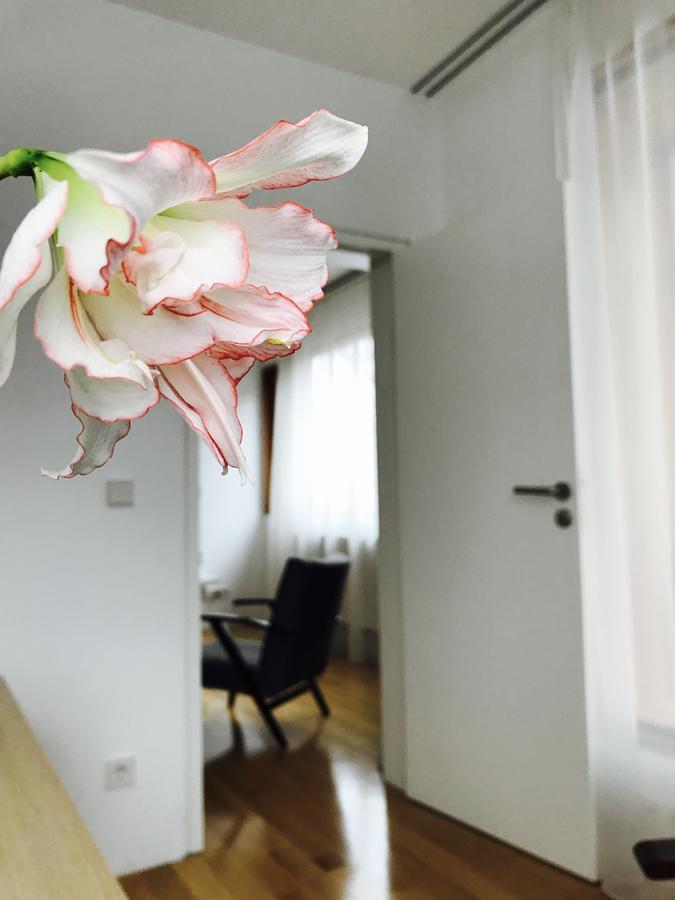 Design Apartment In Park Sofia Eksteriør billede